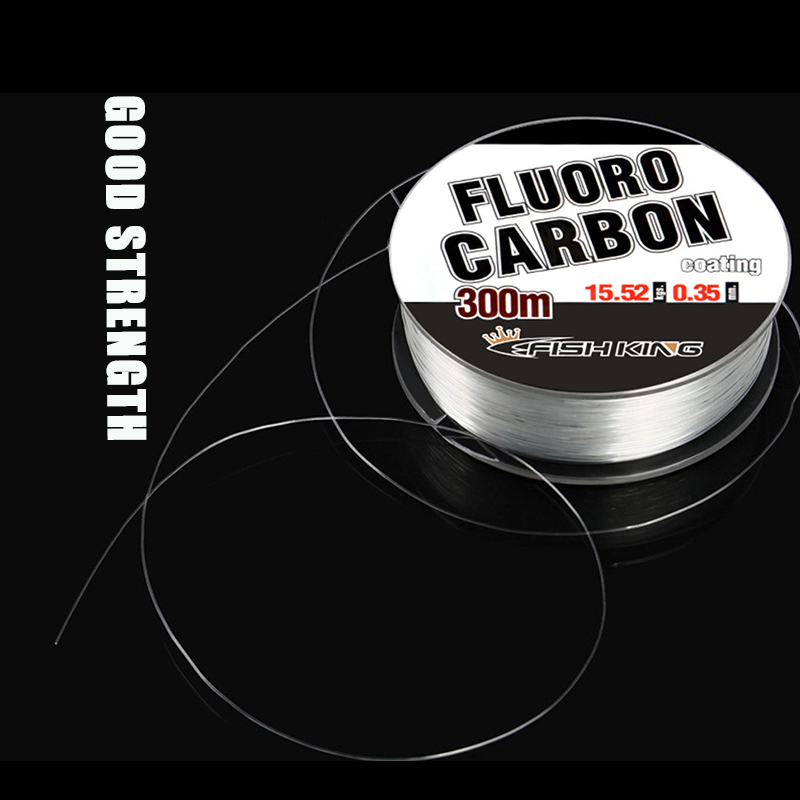 0.3/0.35/0.4/0.45/0.5mm Fluoro - Copolymer Line recensione e prezzo
