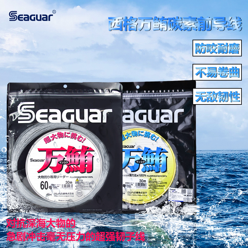Original Seaguar 100% Fluoroca - Copolymer Line recensione e prezzo