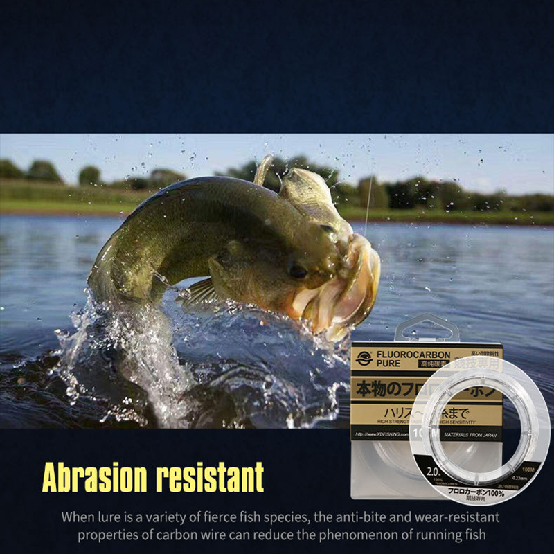 99% Fluorocarbon Fishing Line  - Copolymer Line recensione e prezzo
