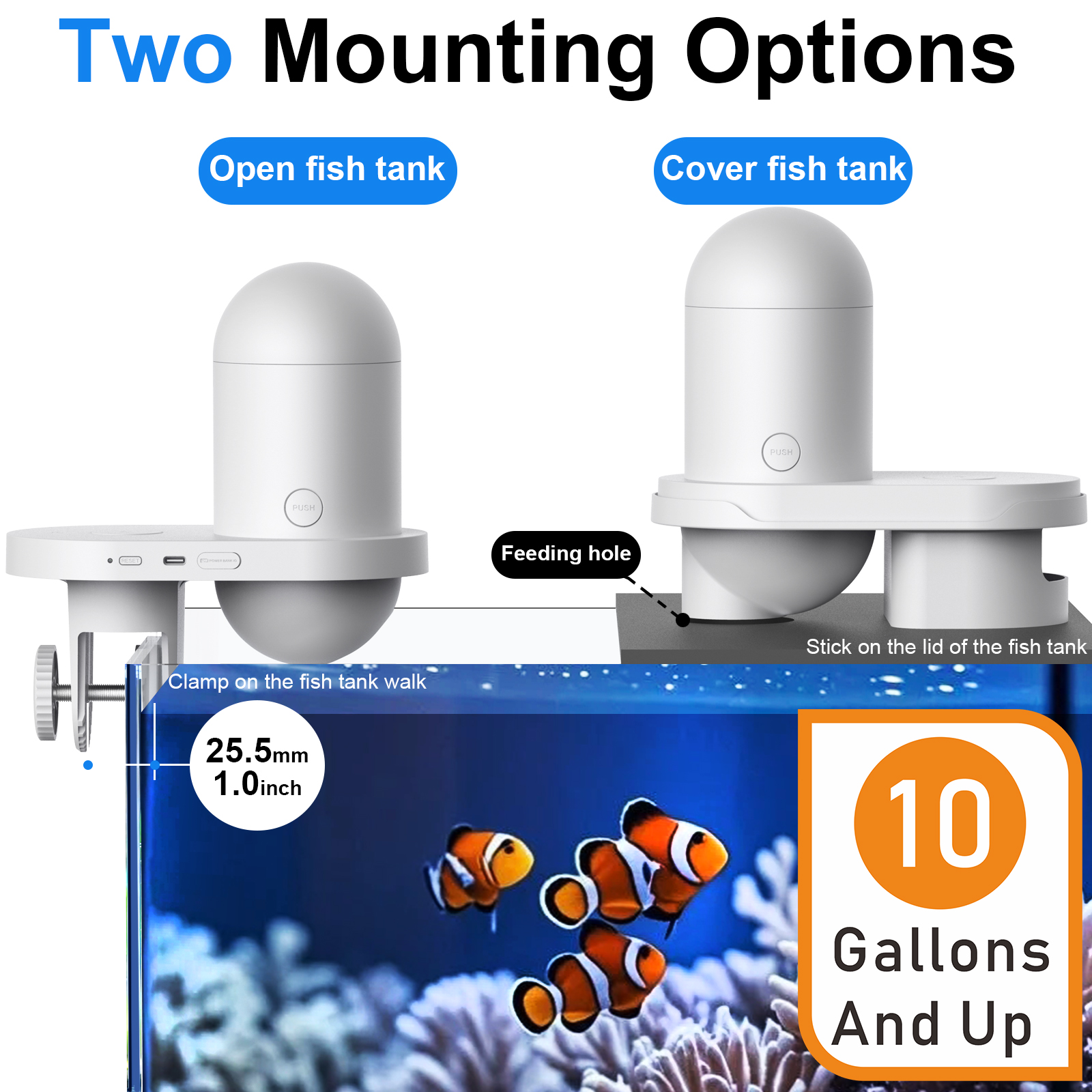Automatic Fish Feeder With Cam - Fishing Line Dispenser recensione e prezzo