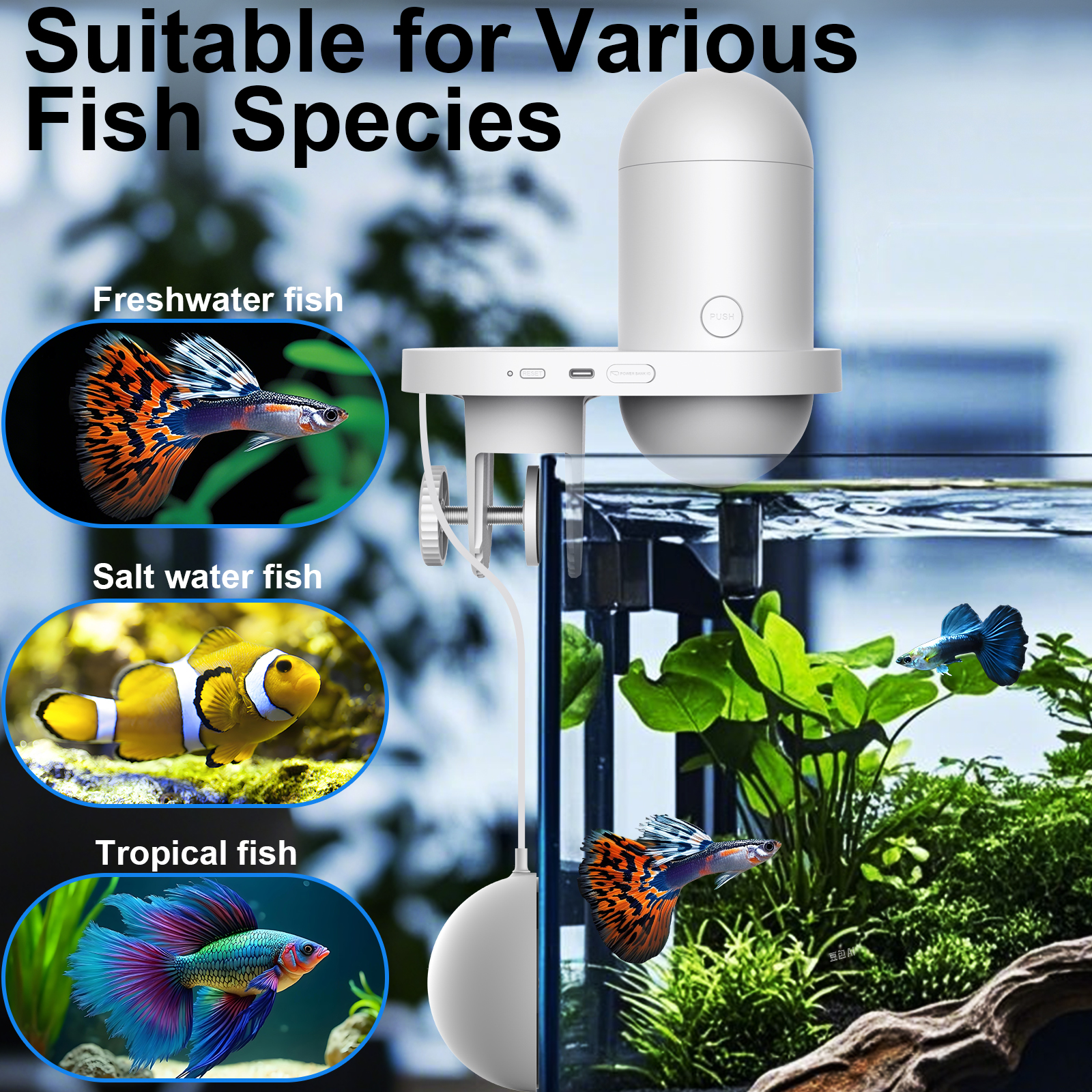 Automatic Fish Feeder With Cam - Fishing Line Dispenser recensione e prezzo
