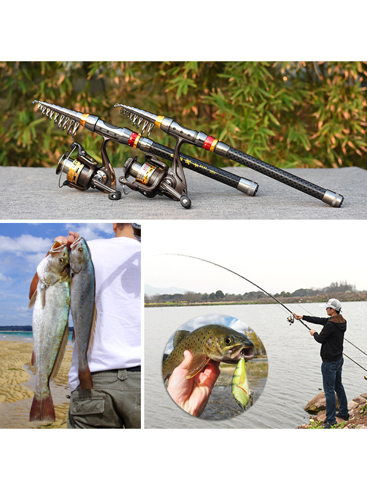 Fishing Rod Spinning Reel Comb - Freshwater Line recensione e prezzo