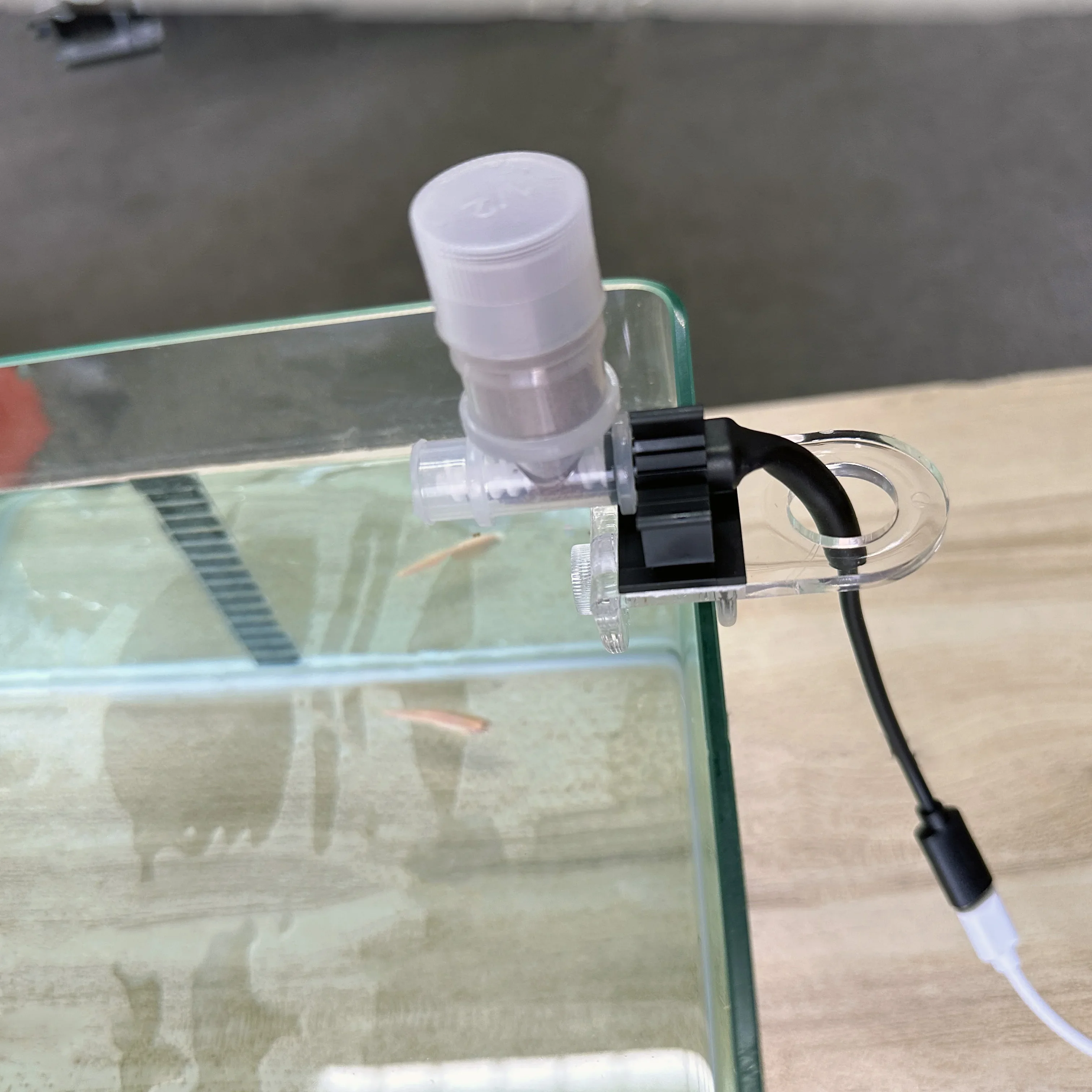 Best Automatic Fish Feeder - W - Fishing Line Dispenser recensione e prezzo