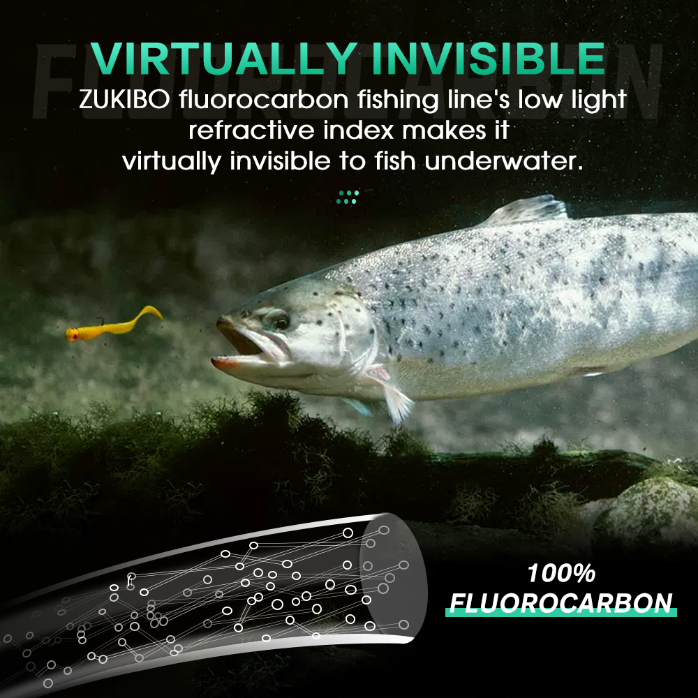 ZUKIBO 100% Fluorocarbon Fishi - Copolymer Line recensione e prezzo